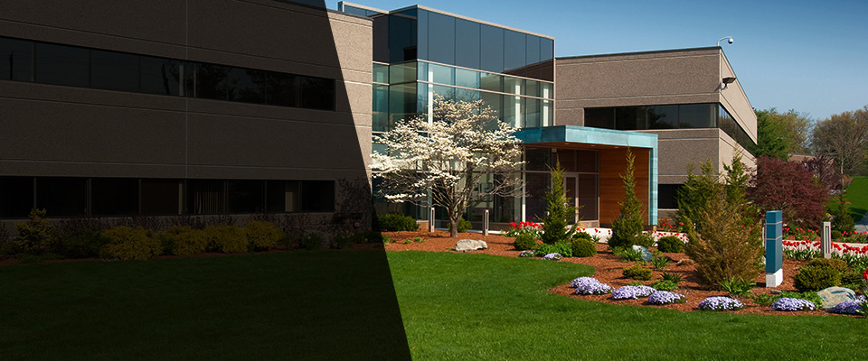 Merritt Island Landscapers