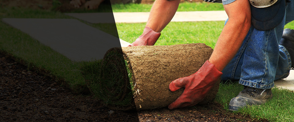 Merritt Island Landscapers